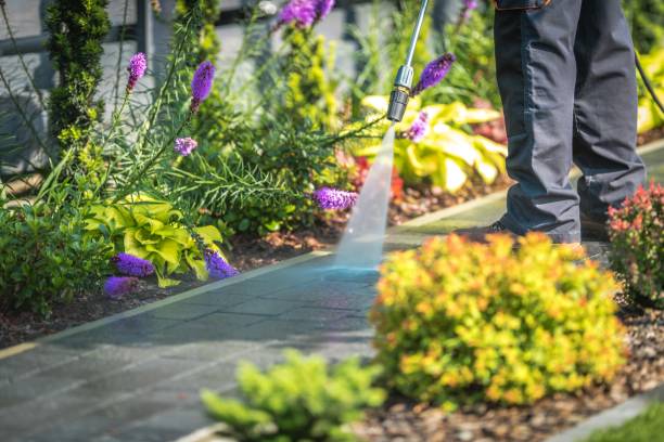 Best Building Exterior Pressure Washing in Mineral Point, WI