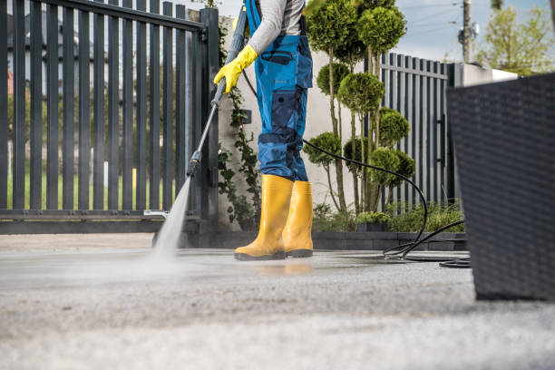 Best Driveway Cleaning and Restoration in Mineral Point, WI